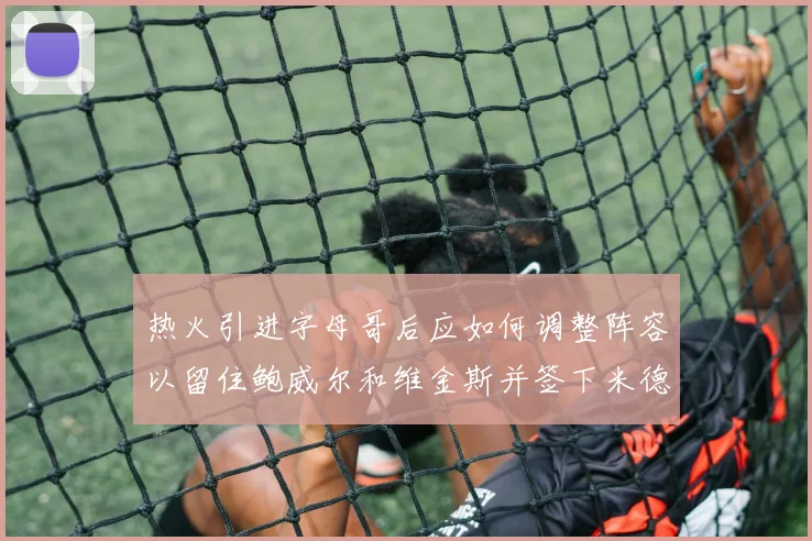 热火引进字母哥后应如何调整阵容以留住鲍威尔和维金斯并签下米德尔顿