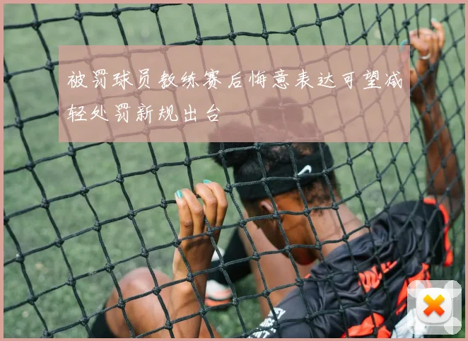 被罚球员教练赛后悔意表达可望减轻处罚新规出台